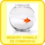 Memory animals de companyia